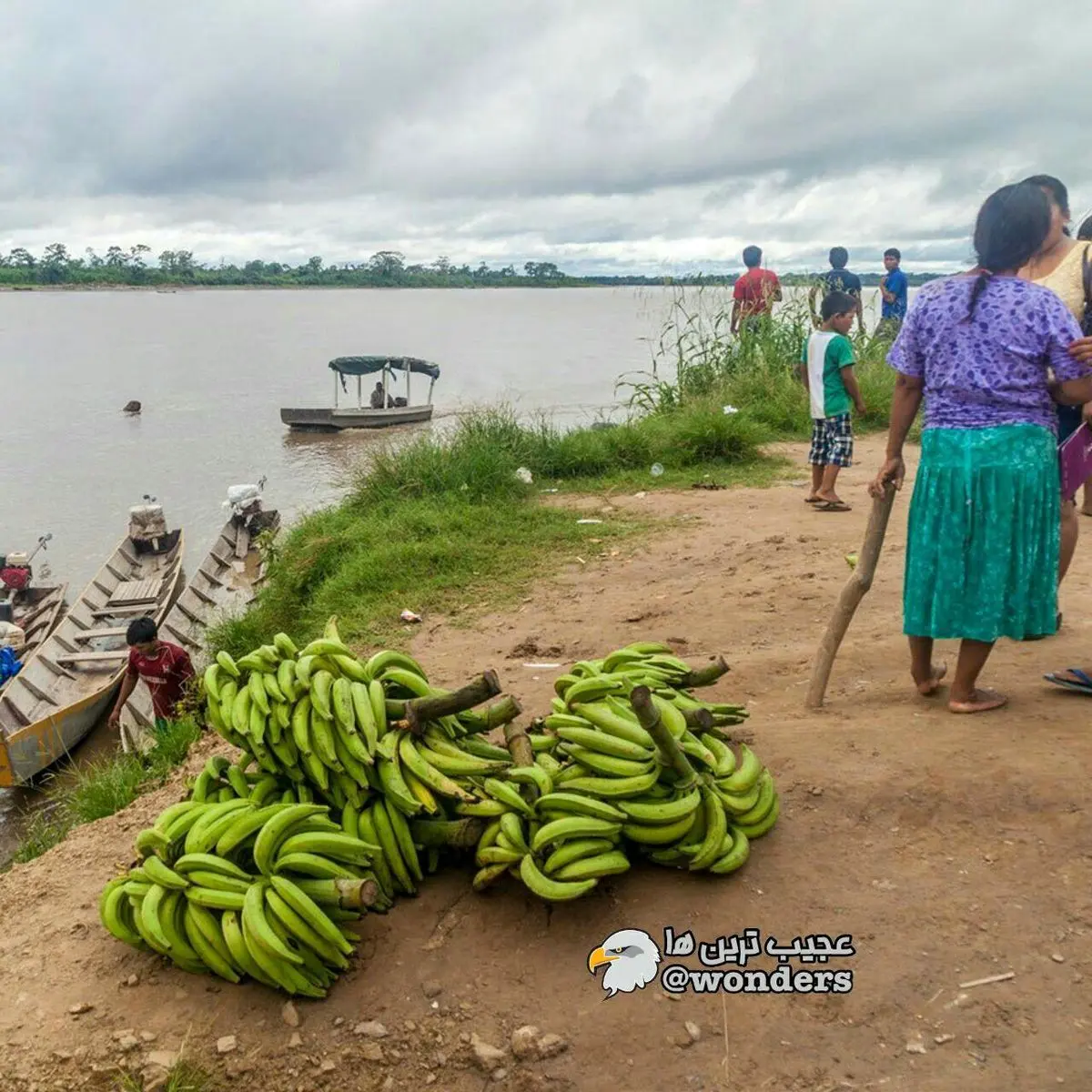 مردم تیسمانی در بولیوی، سالم‌ترین قلب‌های جهان را دارند!