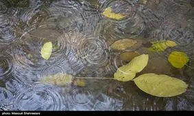 طبیعت پاییزی روستای کردان