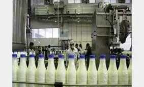 قیمت شیر 30 درصد افزایش می یابد