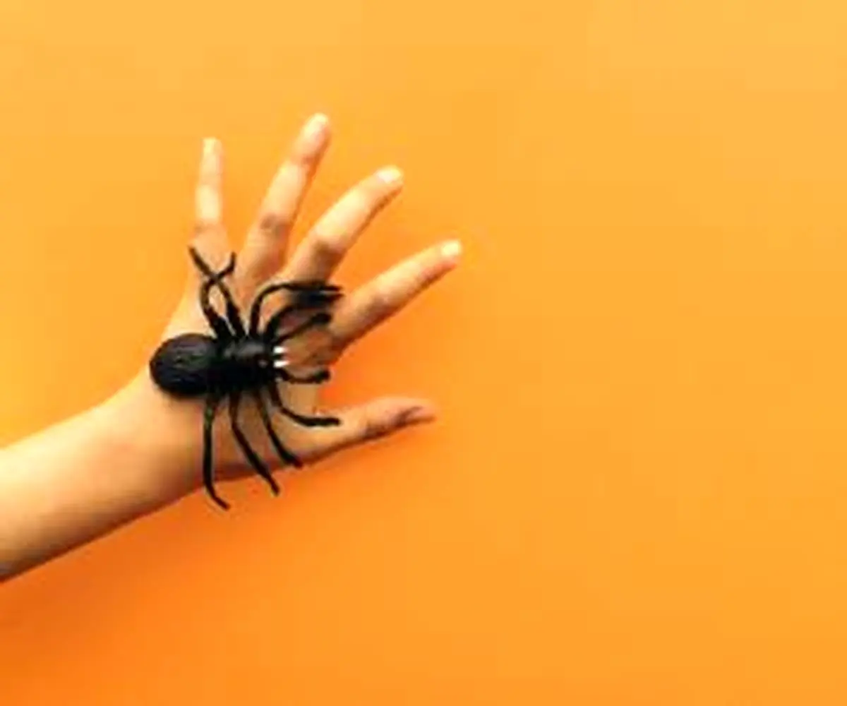 اسپری مخصوص برای دفع فوری عنکبوت ها از خانه شما