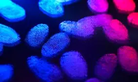 سیستمی که اسکنر اثرانگشت را فریب می‌دهد