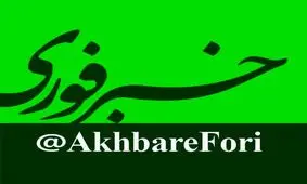 «خبرفوری» رسانه برتر حوزه سواد رسانه‌ای کشور شد