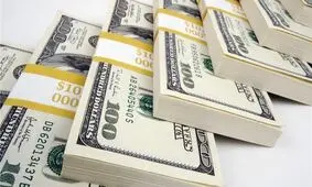 4 راه کار تقویت ارزش پول ملی /قیمت دلار باید حدود 4 تا 5 هزار تومان باشد