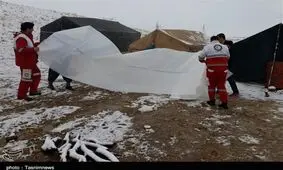 ۴۱ خانوار عشایری گرفتار در برف نجات یافتند