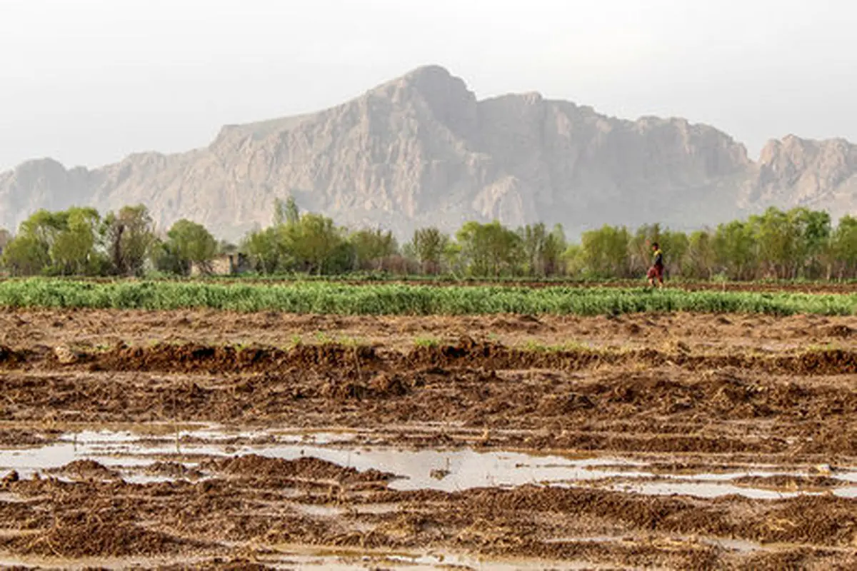 افت 4 متری سطح آب زیرزمینی دشت‌های آبرفتی لرستان