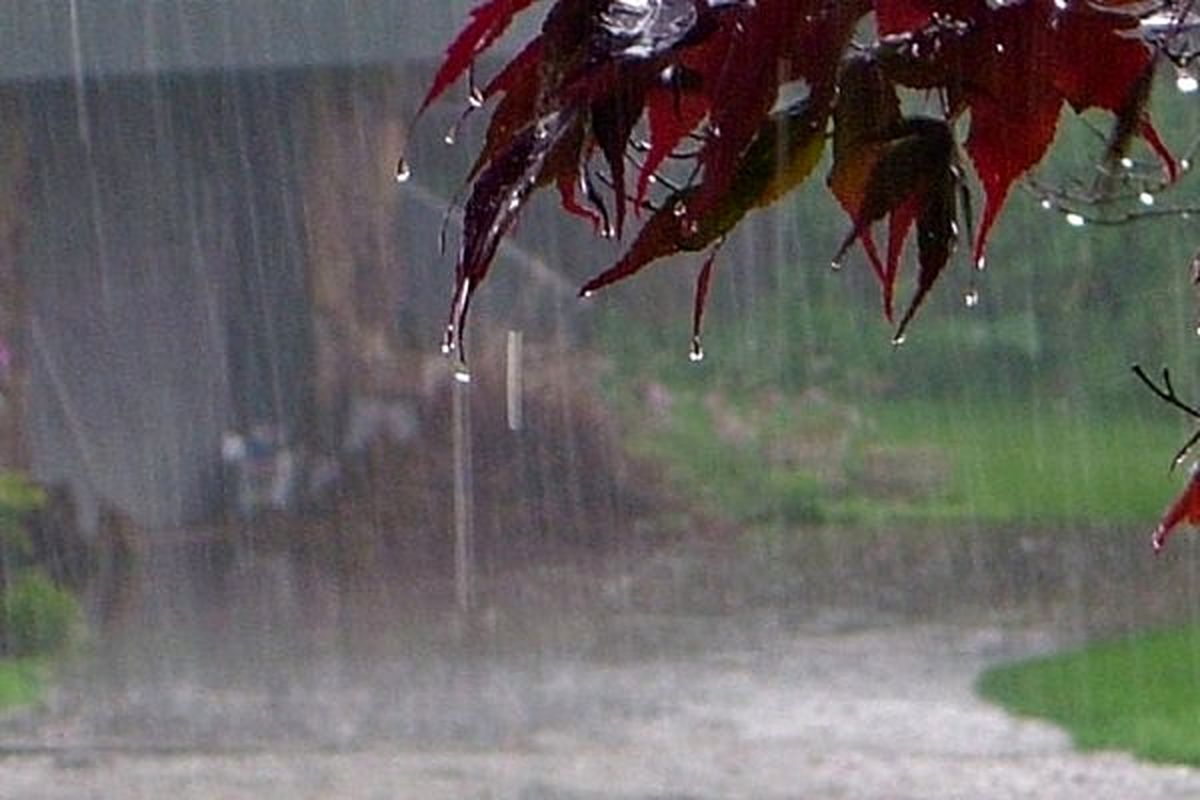 چرا بارانهای پاییزی کمبود منابع آبی را جبران نمیکند؟+فیلم