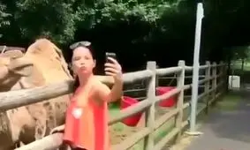 زنی که نزدیک بود سلفی گرفتن بلای جانش شود +فیلم