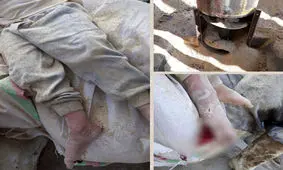 نجات کودک ۳ ساله از داخل دستگاه علوفه خرد کن در پیشوا