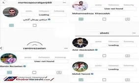غیبت قابل توجه ملی پوشان در فضای مجازی