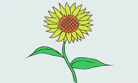 مراحل کشیدن نقاشی گل آفتابگردان