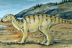 شناسایی استخوان ۱۰۳ میلیون ساله یک دایناسور در امریکا