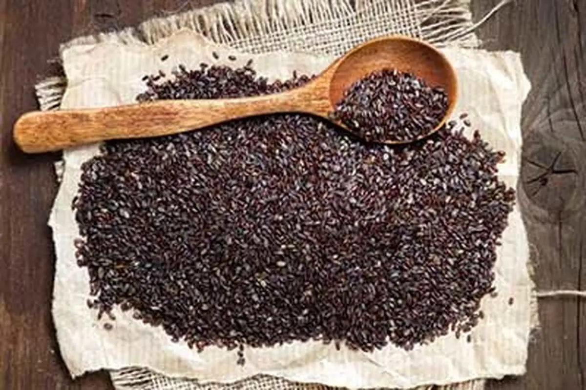 با خواص شفا بخش اسفرزه آشنا شوید