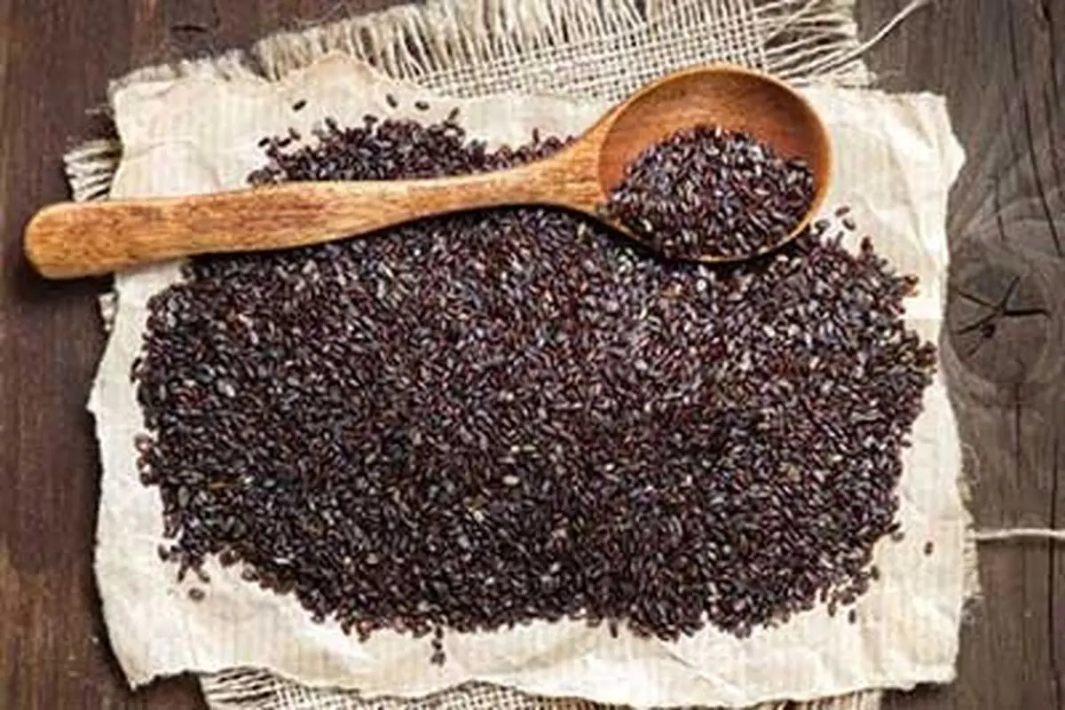 با خواص شفا بخش اسفرزه آشنا شوید