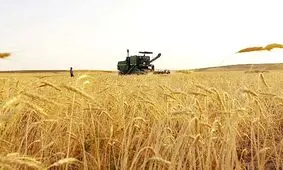 دولت قانون خرید تضمینی کشاورزی را نقض کرد