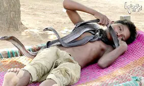 پسربچه ۷ ساله‌ای که با مار‌های خطرناک زندگی می‌کند