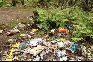 جنگل‌های هیرکانی گیلان در تسخیر زباله‌ها به‌ روایت تصویر
