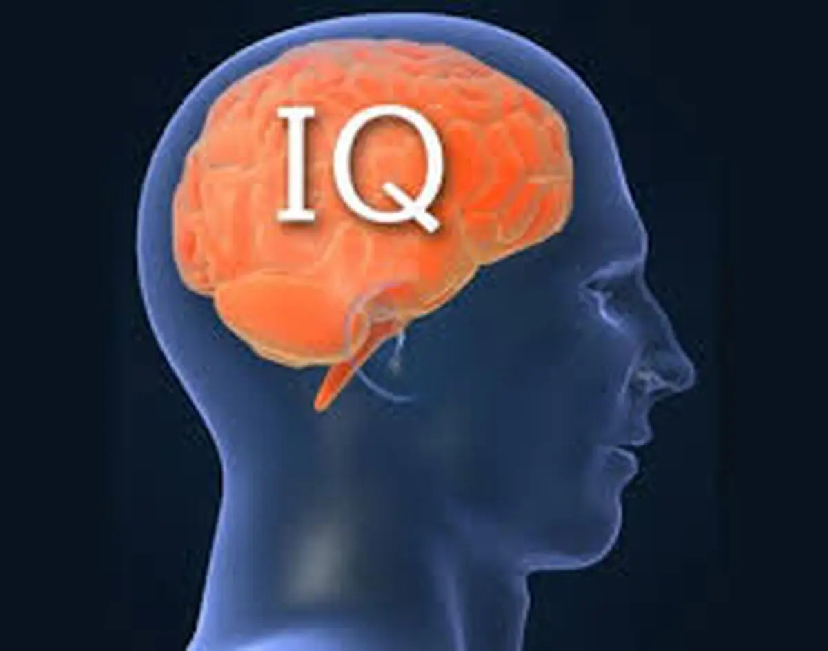 کوتاه ترین تستIQ را حل کنید