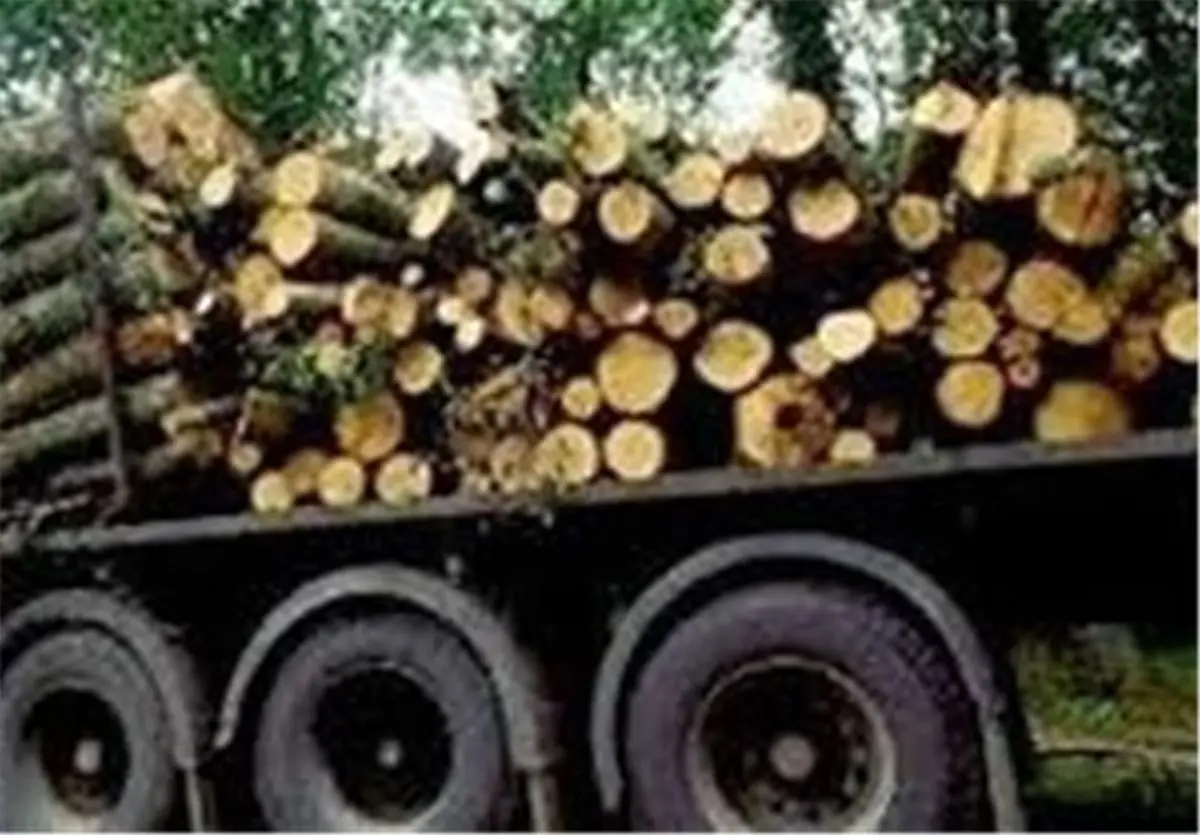 قاچاقچیان چوب‌های جنگلی شهرستان سپیدان زمین‌گیر شدند