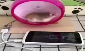 شارژ کردن گوشی به وسیله انرژی حرکتی