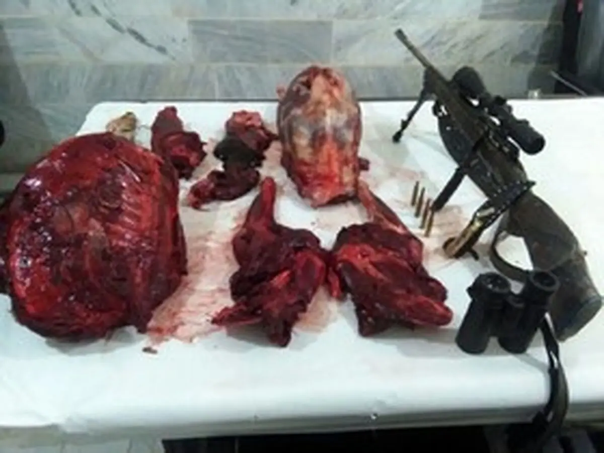 ۲۰ ماه حبس برای شکارچی غیرمجاز