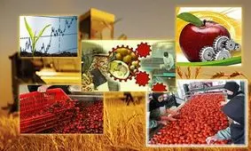 برنامه‌ریزی ایجاد ۲۰۵ هزار فرصت شغلی برای مددجویان کمیته امداد