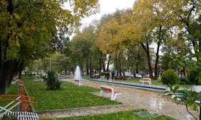 برگ‌های پاییزی «بلوار طاقبستان» جمع‌آوری نمی‌شود