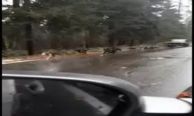 بهترین گزینه بعد از گران شدن بنزین