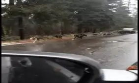 بهترین گزینه بعد از گران شدن بنزین