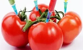 تولید محصولات شبه تراریخته با فن‌آوری‌«کریسپر» و «تلنز»/ مردم نگران هستند 