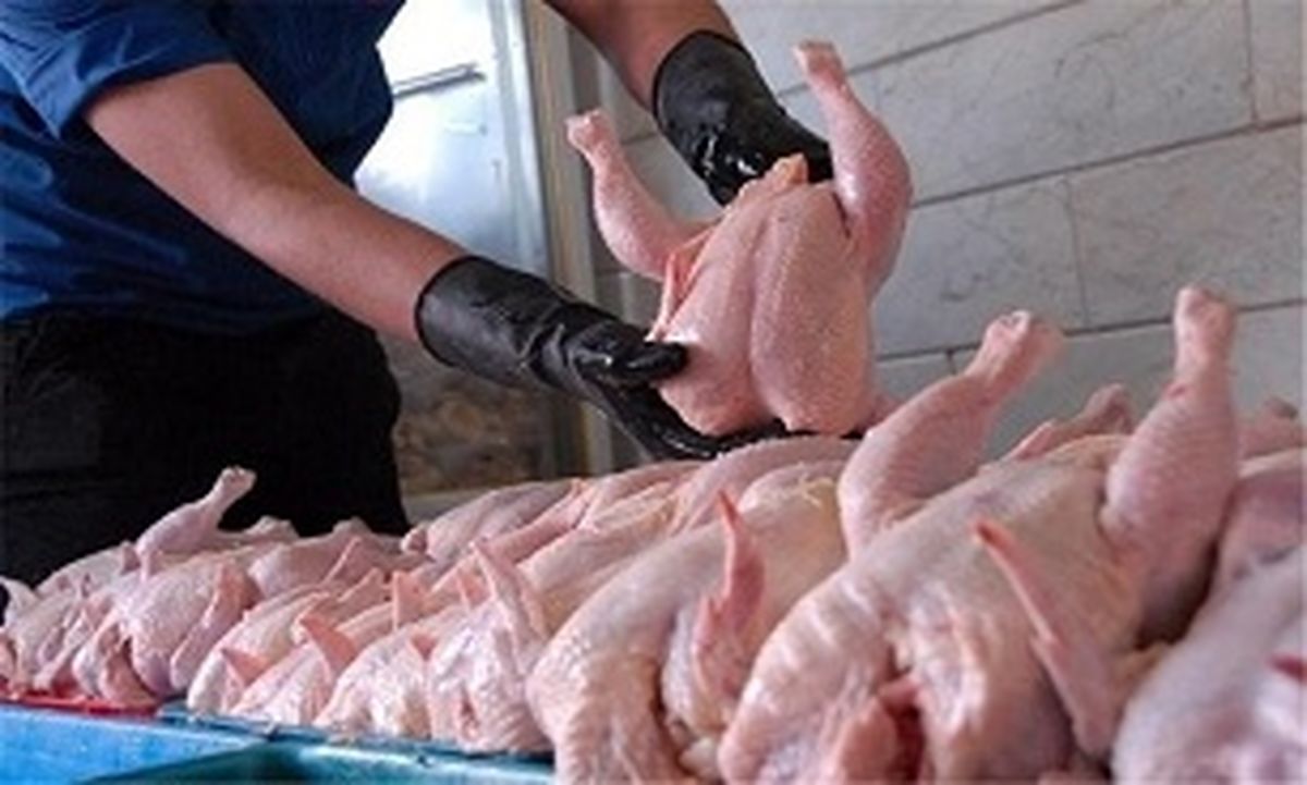 قیمت هر کیلو مرغ به ۱۱ هزار تومان رسید