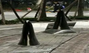 بالِ کوسه در وسط پیاده‌روهای چین +عکس