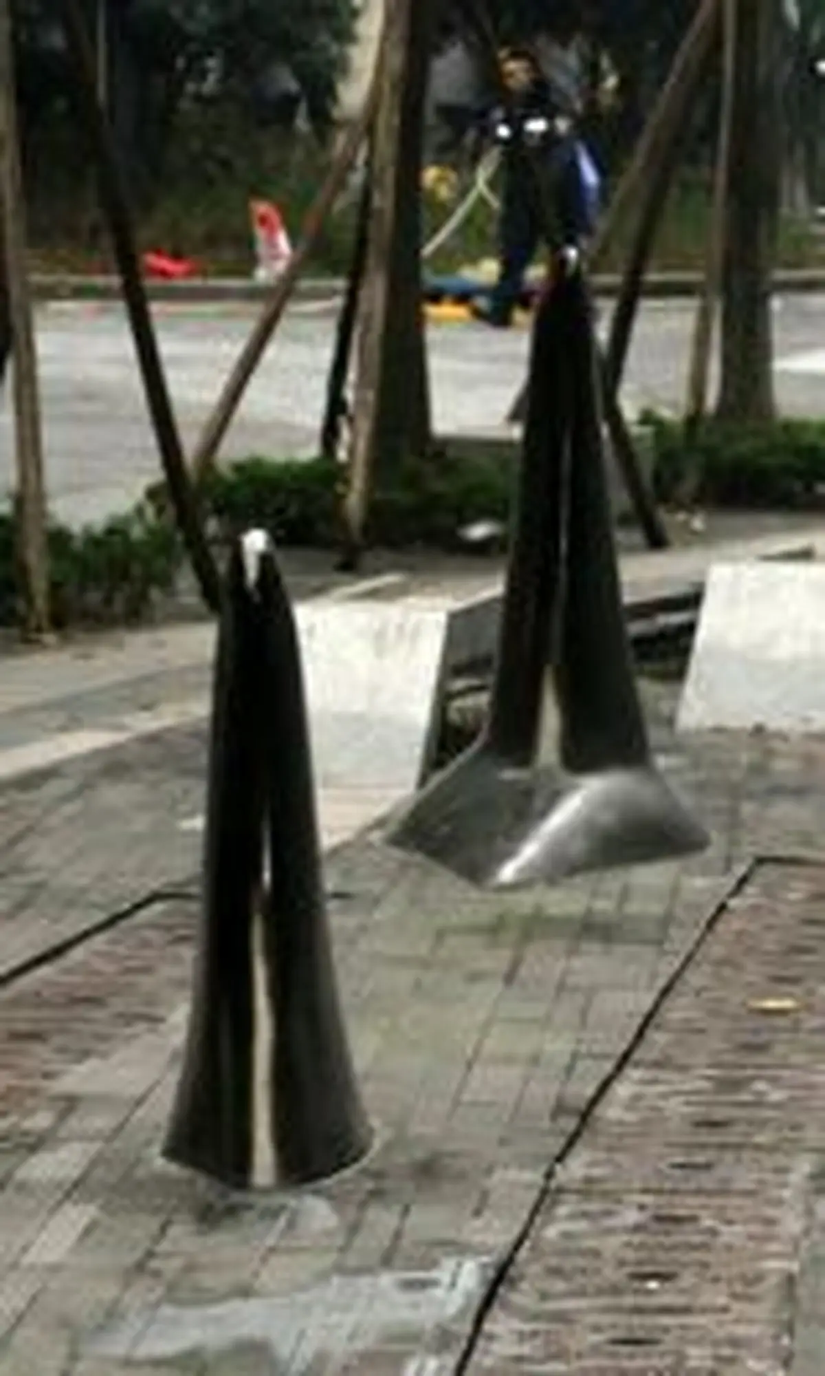 بالِ کوسه در وسط پیاده‌روهای چین +عکس