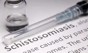 بیماری انگلی شیستوزومیازیس؛ از شایعات تا سرطان مثانه