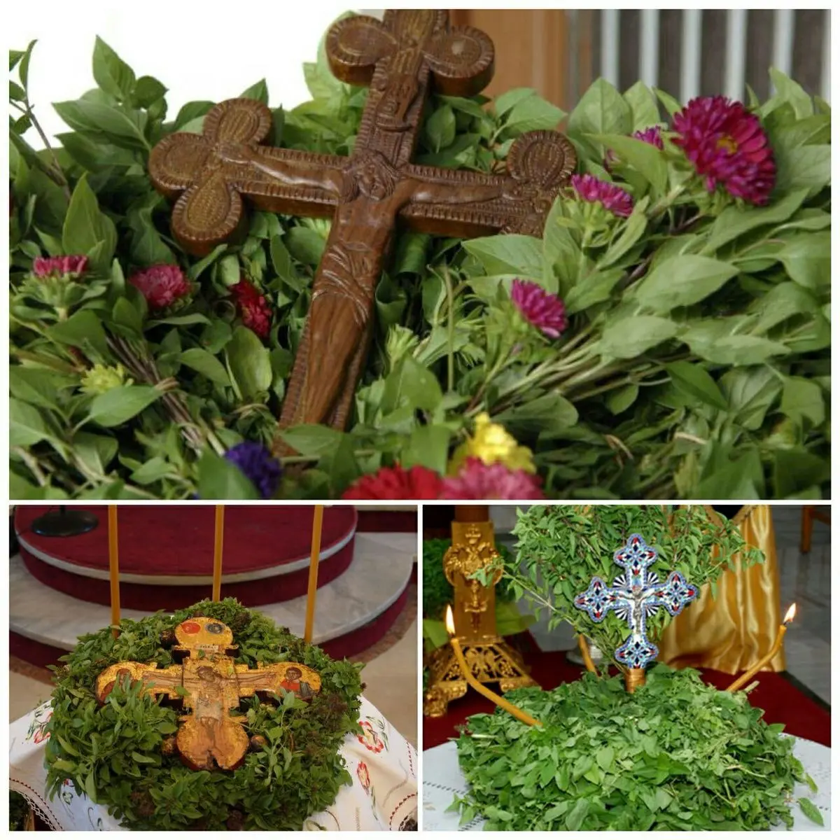 ریحان در فرقه های گوناگون مسیحیت مقدس است