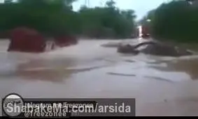لحظه ای عجیب و باور نکردنی از غرق شدن تریلی در سیل +فیلم