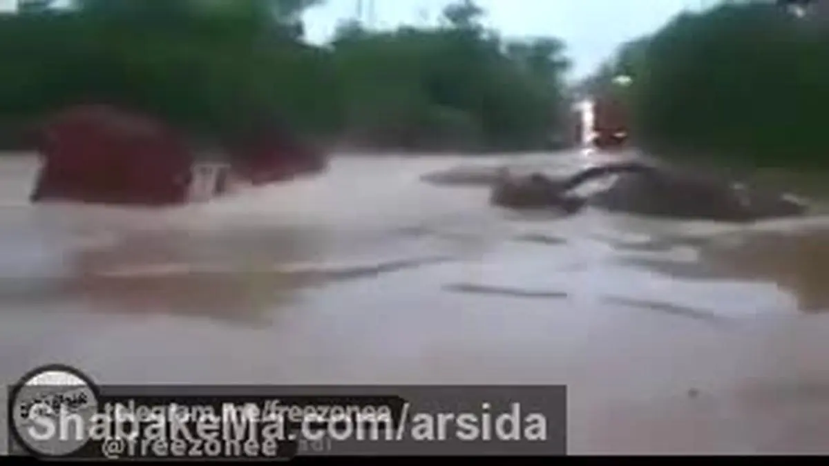 لحظه ای عجیب و باور نکردنی از غرق شدن تریلی در سیل +فیلم