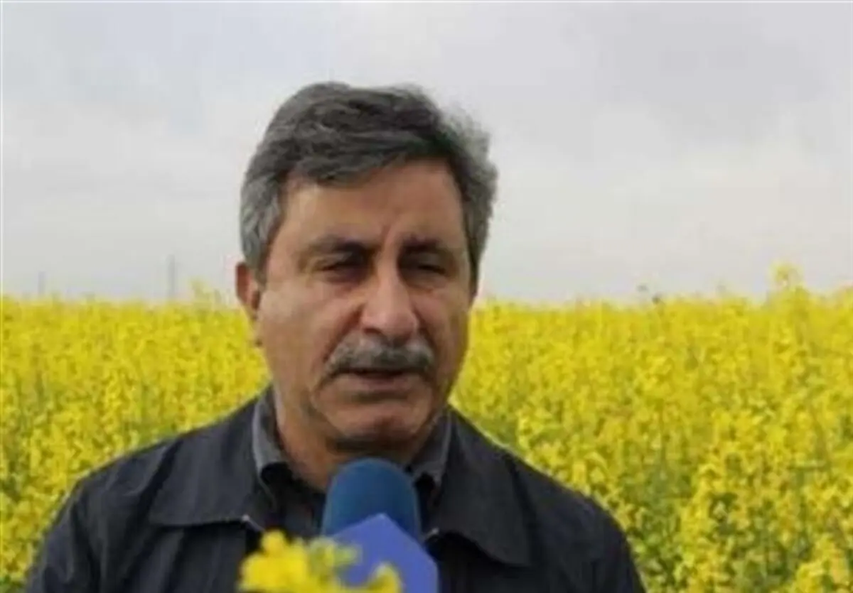 مجری طرح دانه‎های روغنی: واردات محصولات کشاورزی عملاً تحریمِ آمریکا است/ بانک مرکزی چاره‌ کند