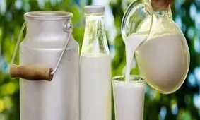 نرخ جدید خرید شیرخام هنوز ابلاغ نشده است/ خرید شیر از دامدارن بالاتر از نرخ مصوب دروغ است