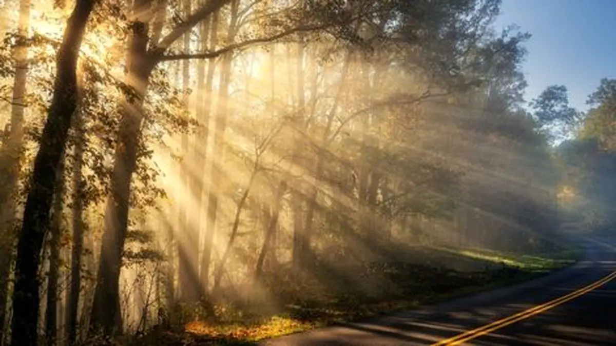 زیباترین بزرگراه جهان کجاست؟ +تصاویر