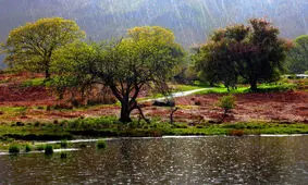 سامانه پرقدرت بارشی ایلام را در بر می گیرد