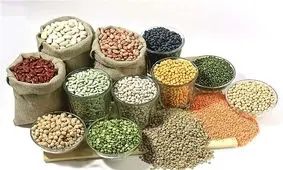 قیمت انواع حبوبات شرکتی در غرفه تره بارقیمت ها