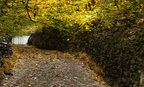 تصاویری زیبا از کوچه باغ‌های پاییزی گنجنامه