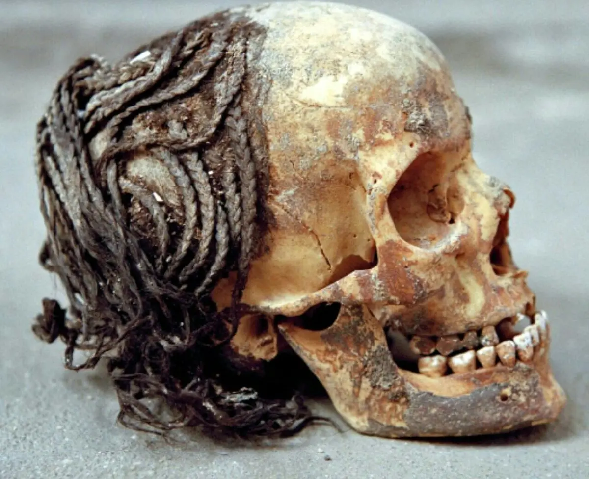 جمجمه ای یافت شده در يك قبر مصر باستان در زمان آخناتون در1300قبل از میلاد