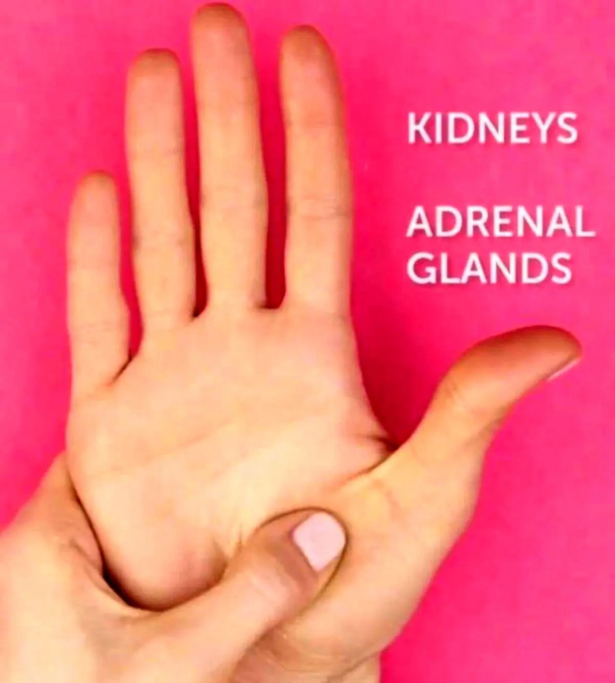 زمانی که کلیه هامون درد میکنه چطوری دردش رو آروم کنیم؟