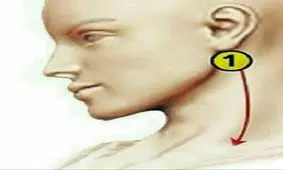 تنظیم فشار خون