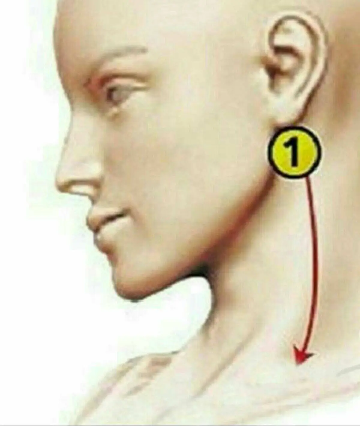 تنظیم فشار خون