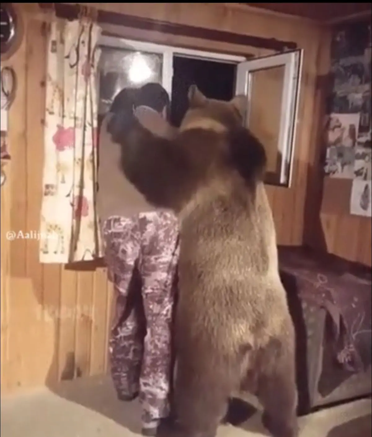 حیوون خونگی فقط خرس قشنگ از تنهایی درمیاین