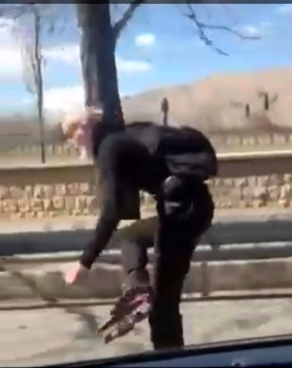 پیرمرد زنده دل شیرازی