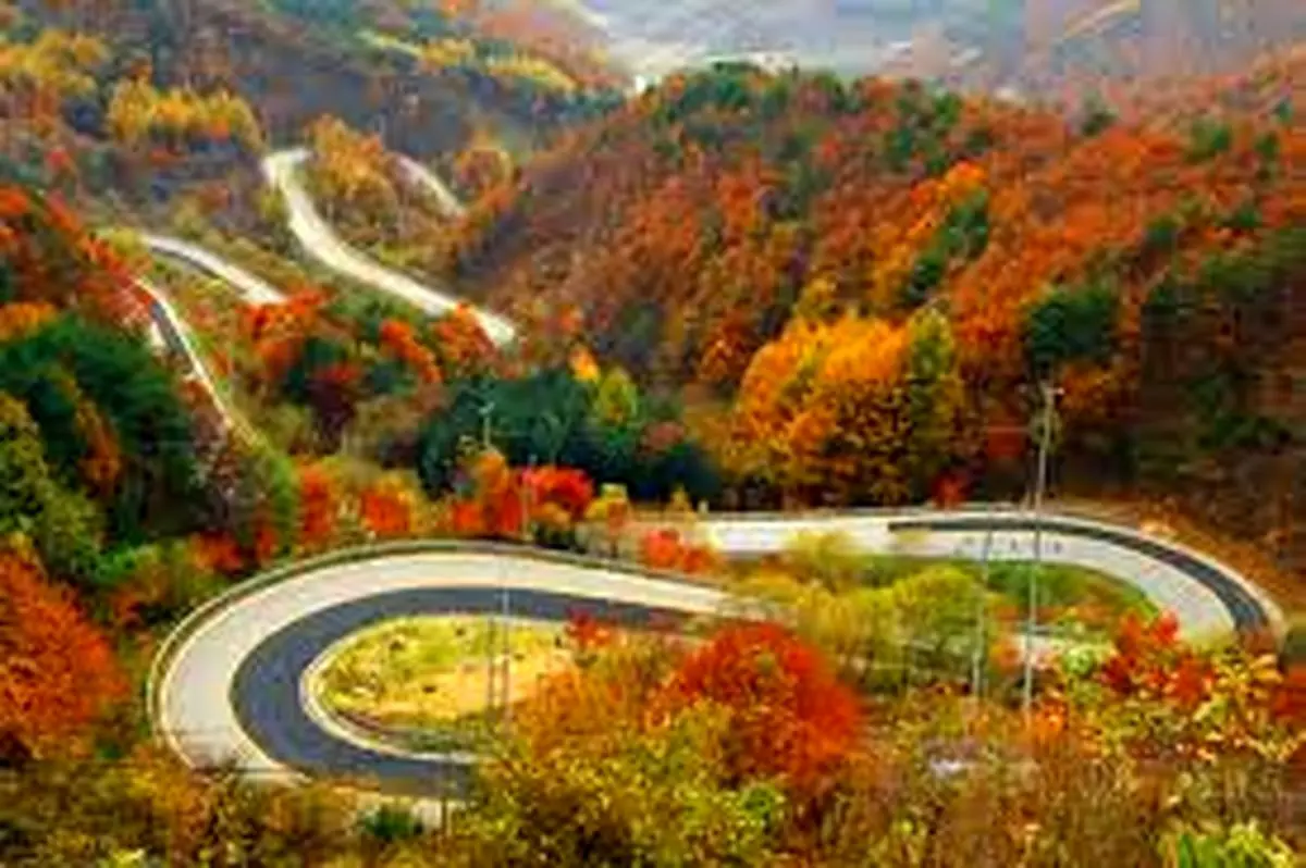 ویدئو/نمایی زیبا از جاده چالوس