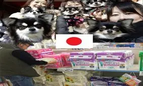 مقایسه شگفت آور فروش پوشک کودکان و بزرگسالان در ژاپن